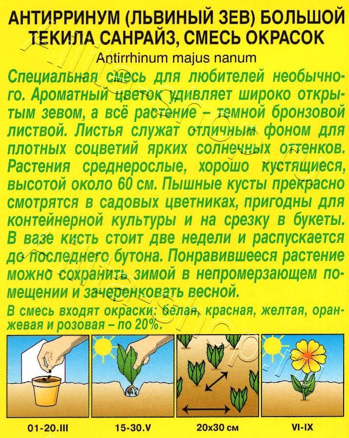 Львиный зев Текила санрайз, смесь окрасок 0,1г