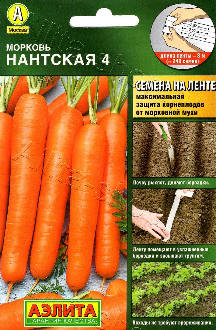 Морковь Нантская 4 на ленте 8м