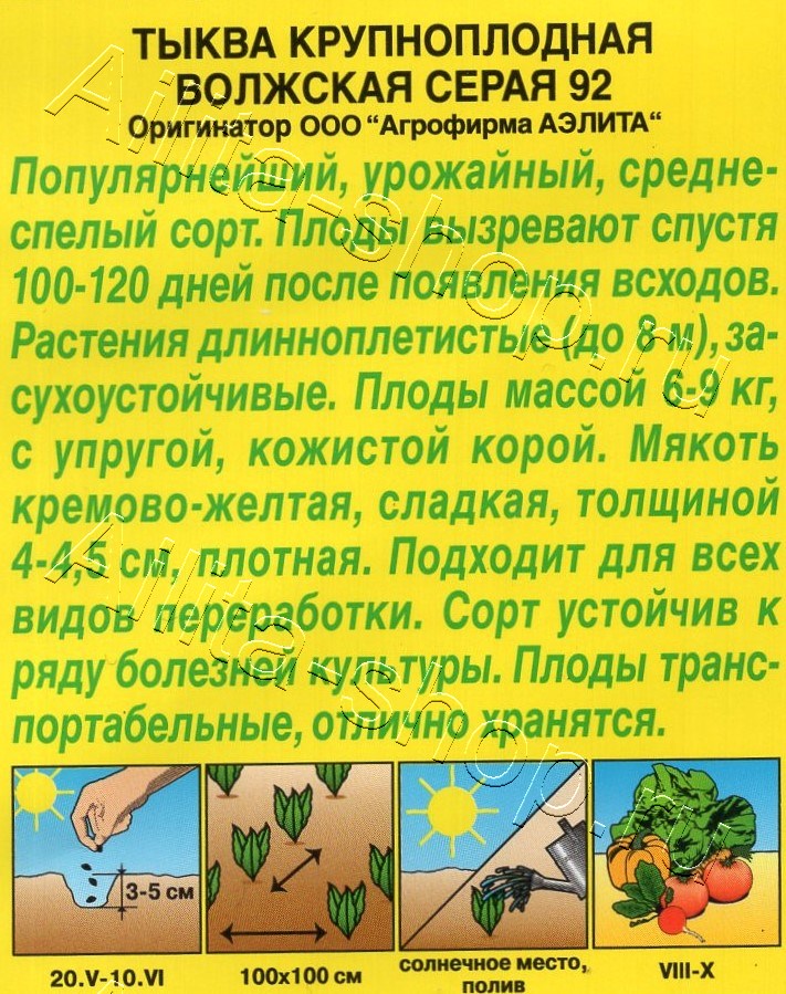 Тыква крупноплодная Волжская серая 92 2г