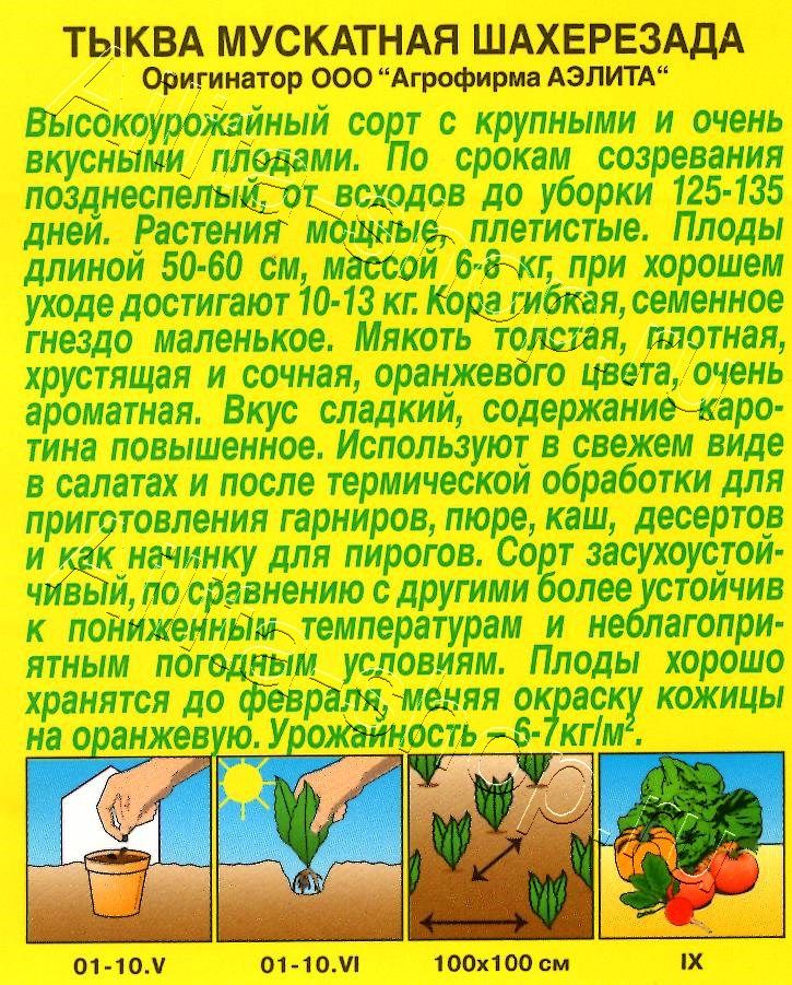 Тыква мускатная Шахерезада 1г