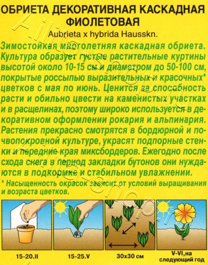 Обриета Декоративная каскадная фиолетовая 0,05г