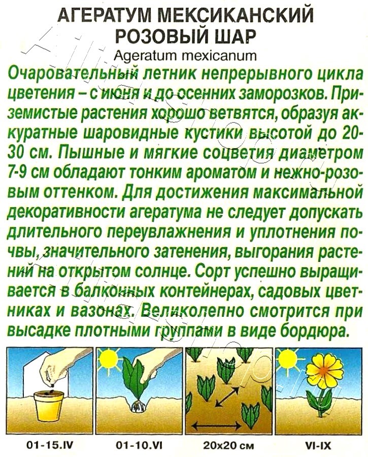 Агератум мексиканский Розовый шар 0,05г