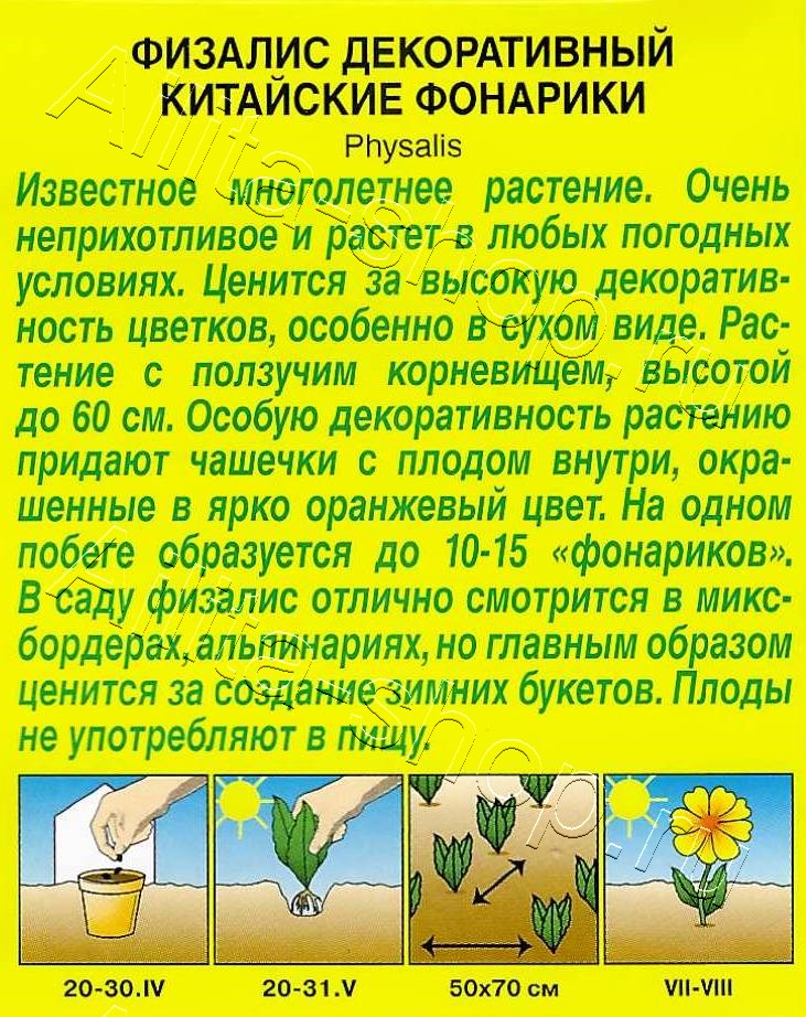 Физалис  Китайские фонарики 0,2г