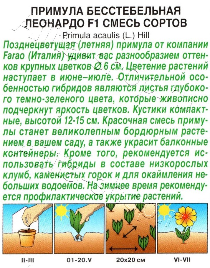 Примула бесстебельная Леонардо F1, смесь окрасок 7шт