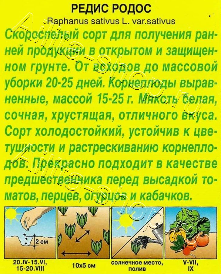 Редис Родос 2г