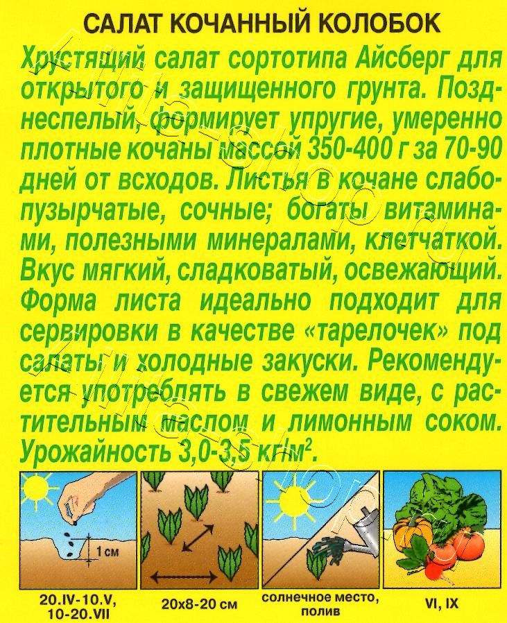 Салат Колобок кочанный (тип Айсберг) 0,5г