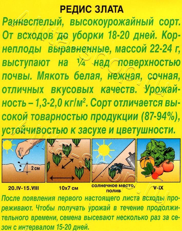 Редис Злата 3г