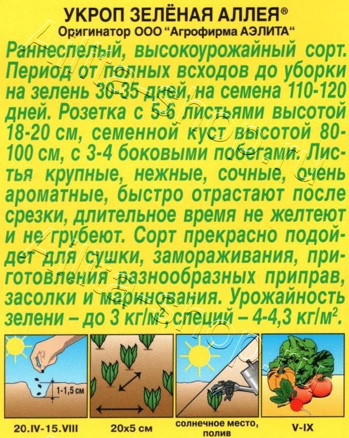 Укроп Зеленая аллея 3г