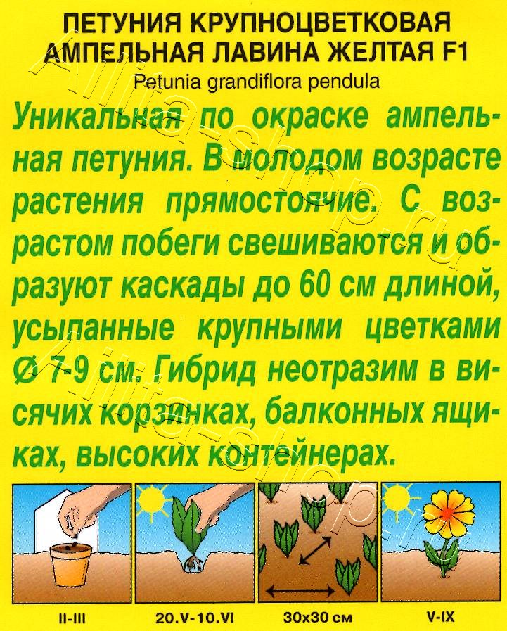 Петуния Лавина F1 желтая крупноцветковая ампельная 7шт
