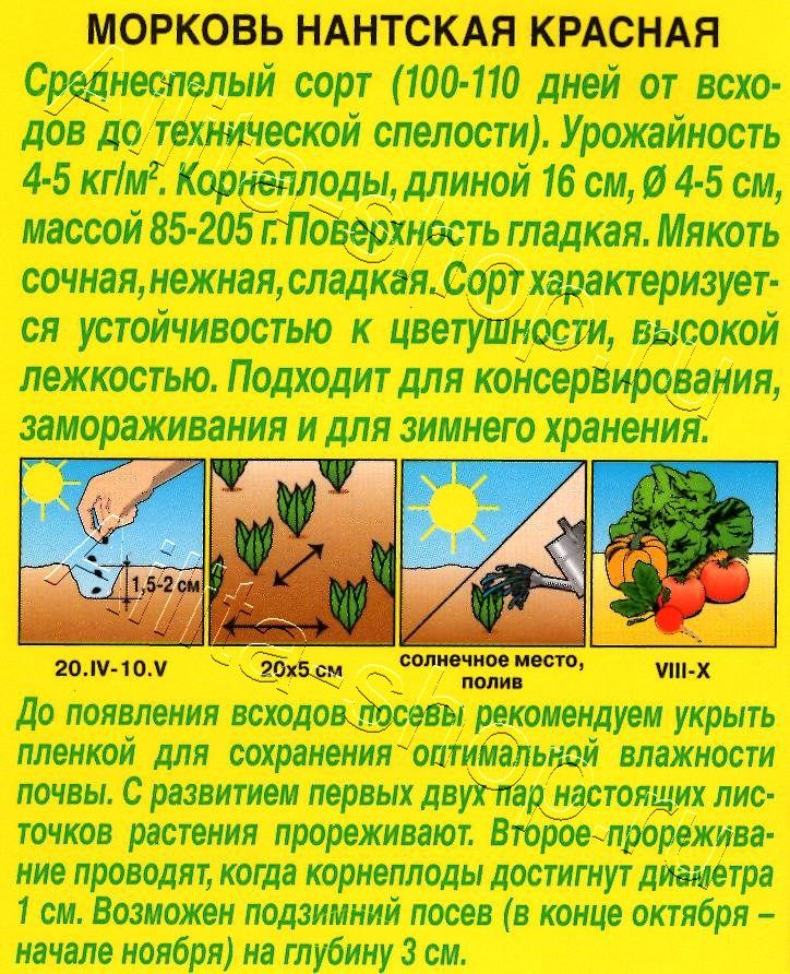 Морковь Нантская красная 2г