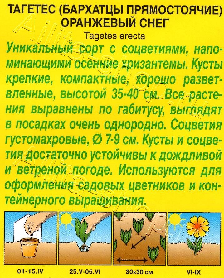 Бархатцы Оранжевый снег прямостоячие 0,1г