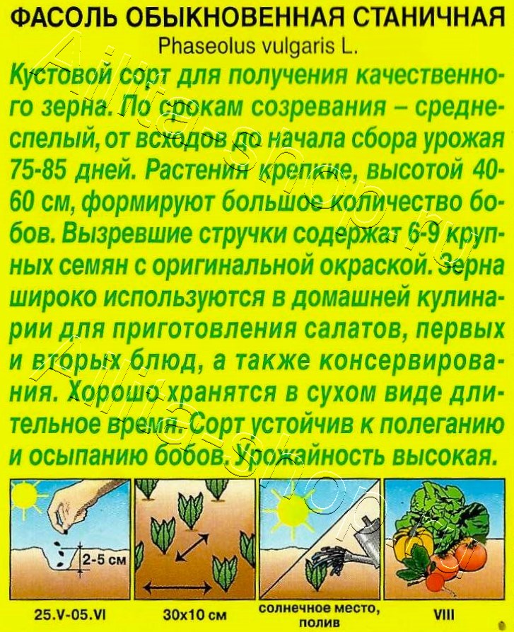 Фасоль обыкновенная Станичная 5г