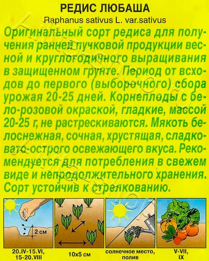 Редис Любаша 1г