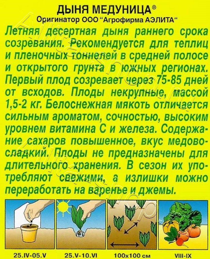 Дыня Медуница 1г