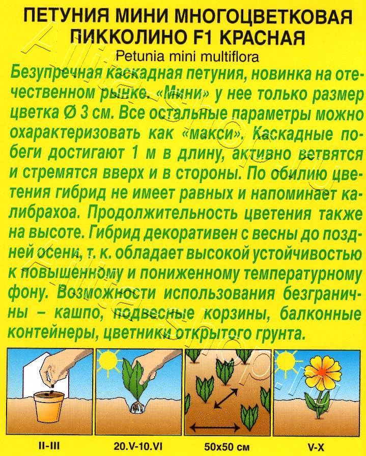 Петуния мини Пикколино F1 красная 5шт