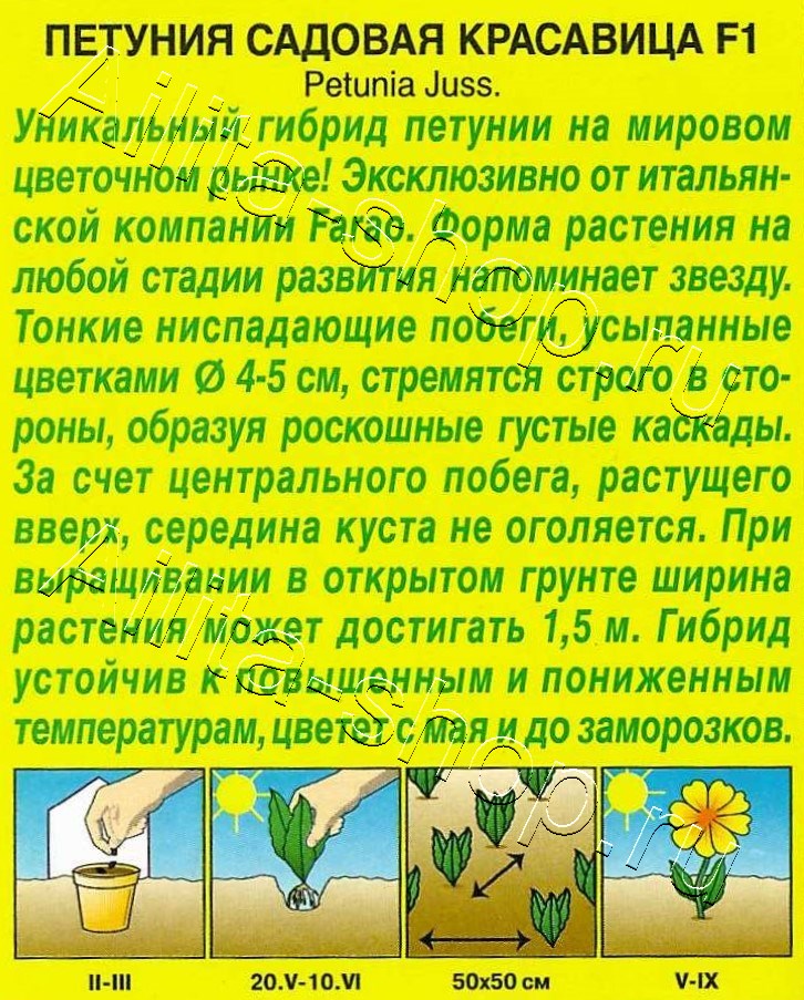 Петуния Садовая красавица F1 многоцветковая 5шт