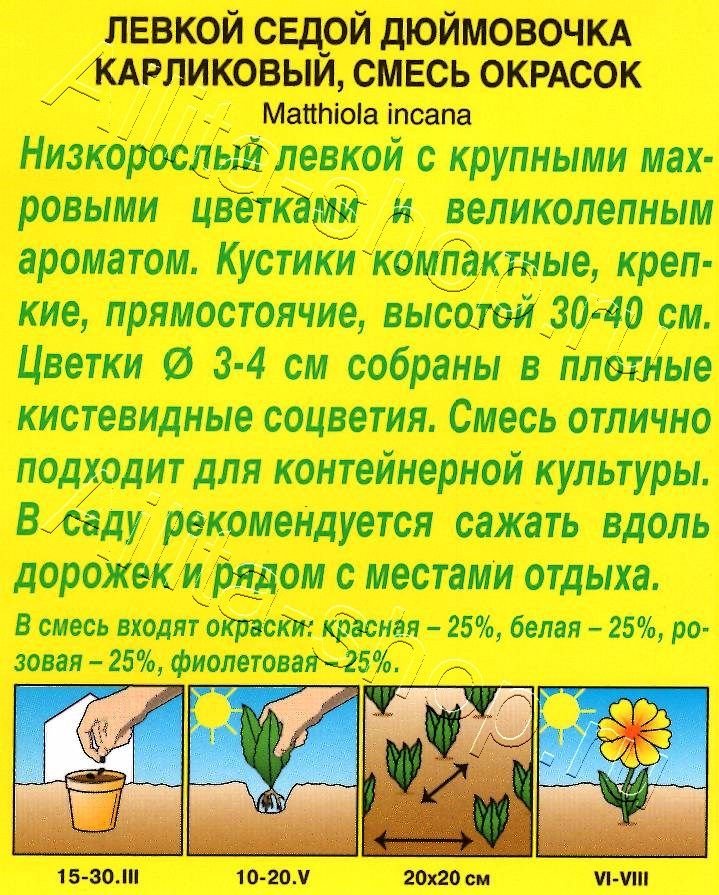 Левкой карликовый Дюймовочка, смесь окрасок 0,1г