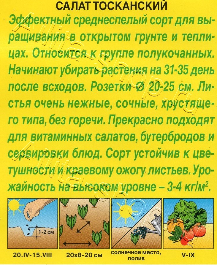 Салат Тосканский 0,5г