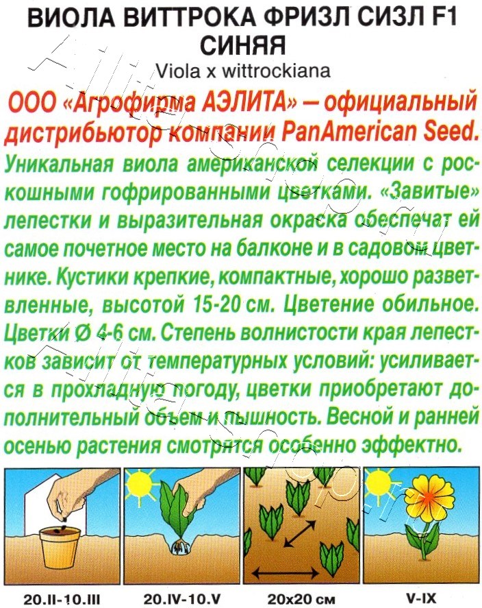 Виола Фризл Сизл F1 синяя гофрированная 5шт