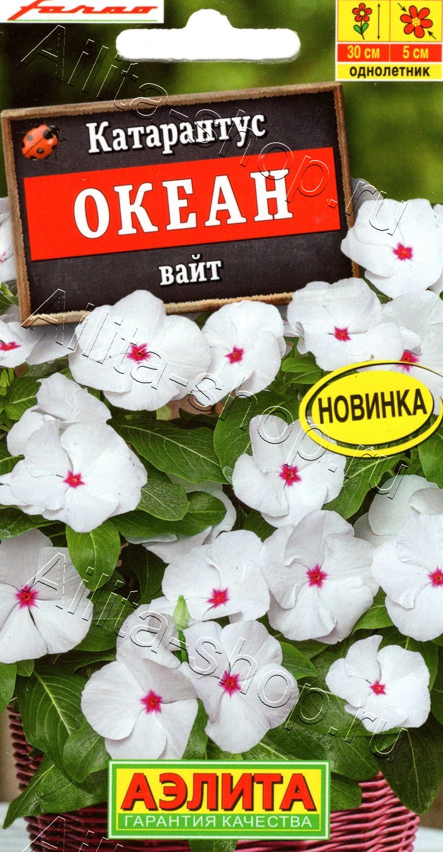Катарантус Океан вайт 10шт