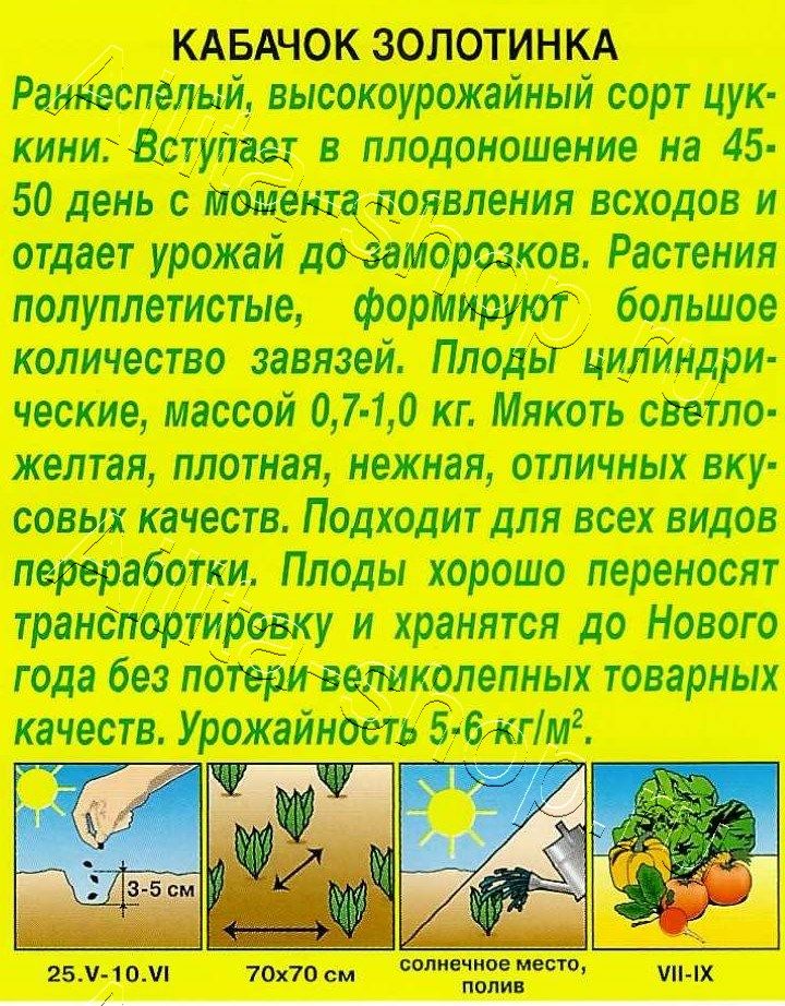 Кабачок цуккини Золотинка 2г