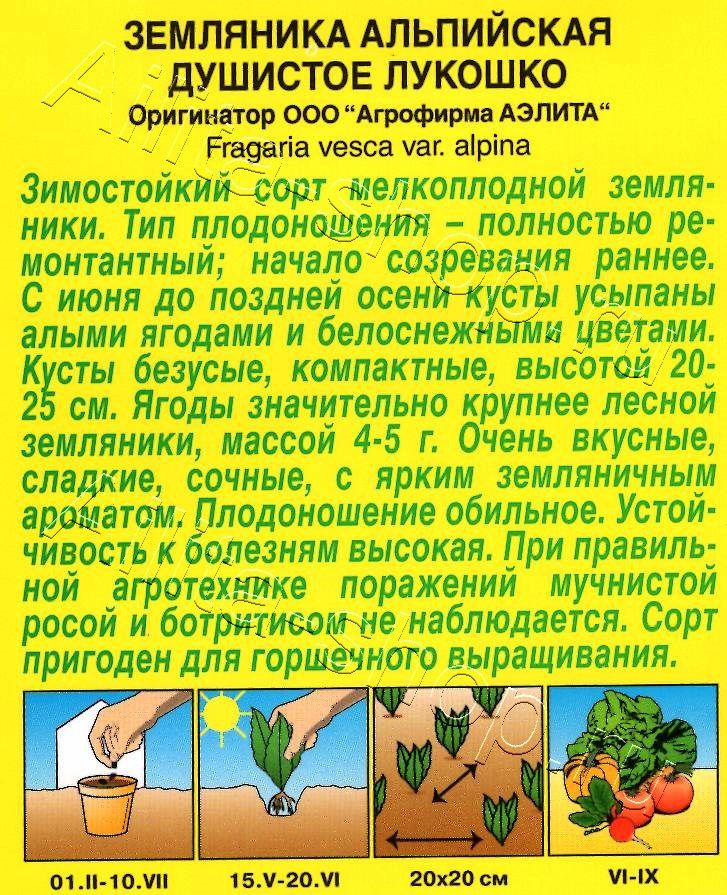 Земляника Душистое лукошко 0,04г