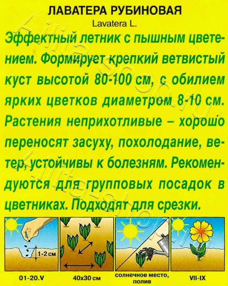 Лаватера Рубиновая 0,3г