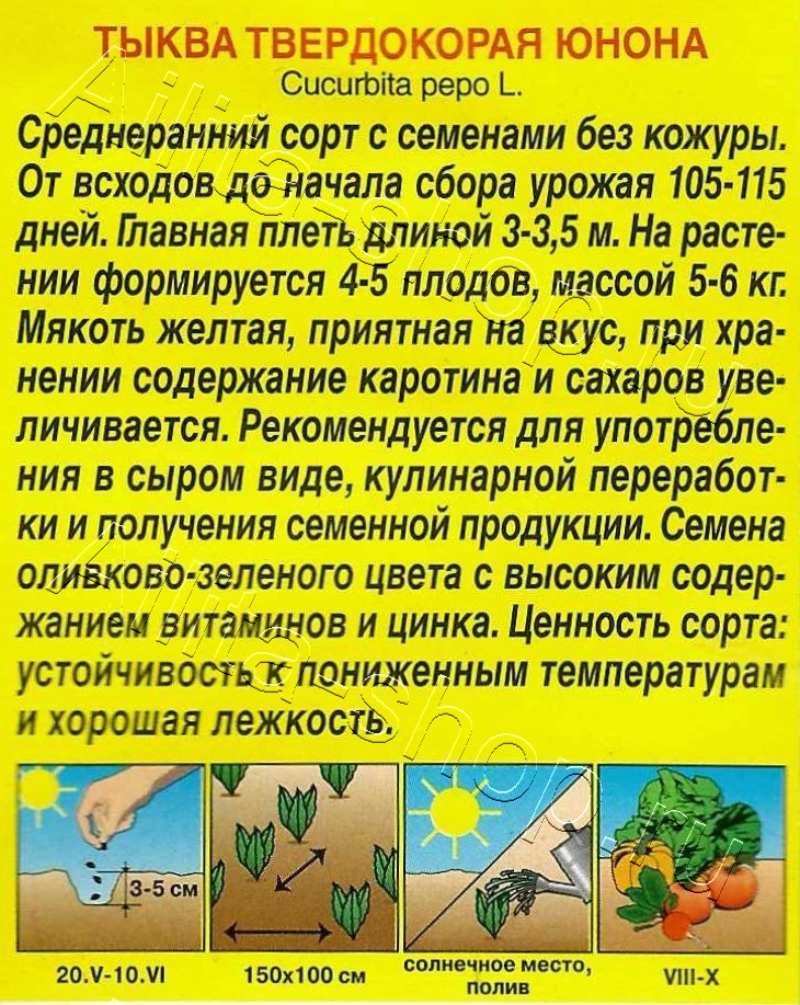 Тыква твердокорая Юнона 1г