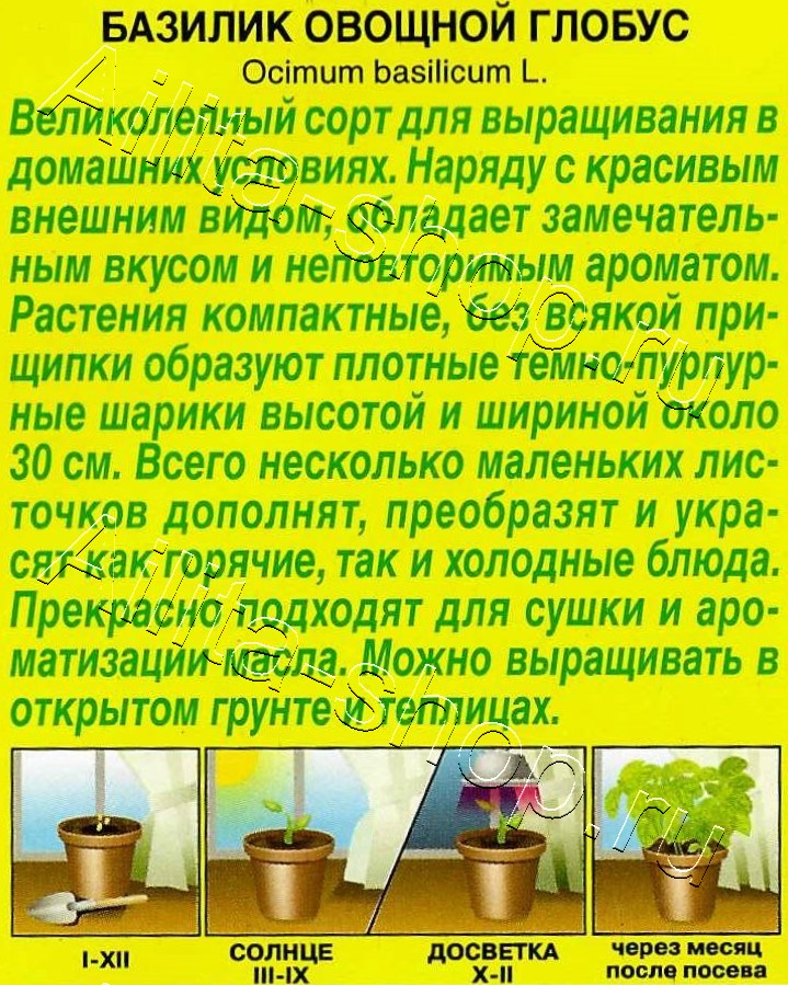 Базилик овощной Глобус 0,2г