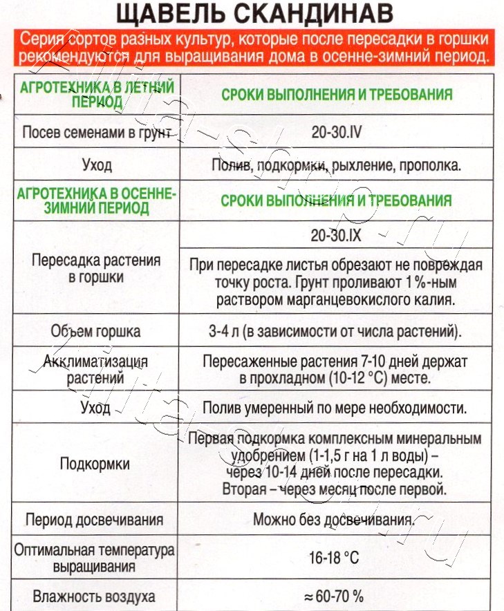 Щавель Скандинав 0,5г