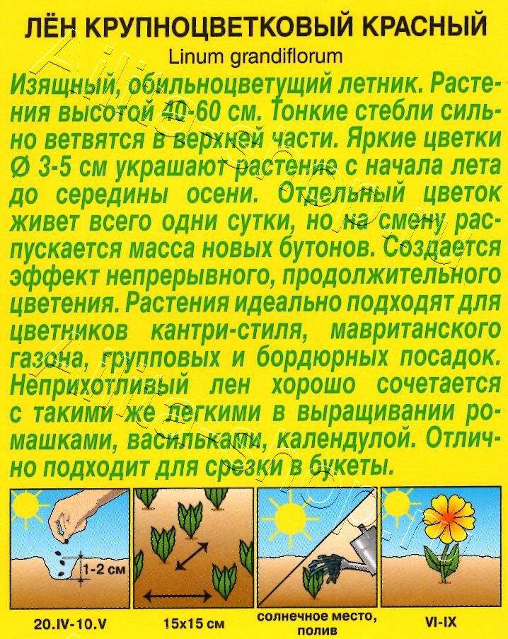 Лен крупноцветковый Красный 0,5г