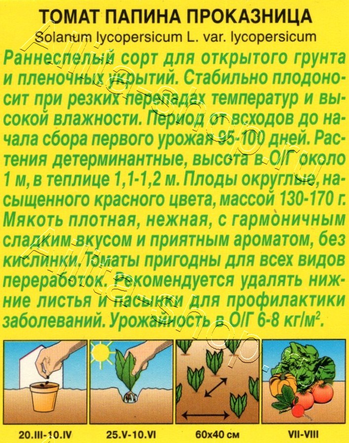 Томат Папина проказница 20шт