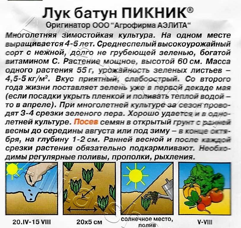 Лук батун Пикник 0,5г