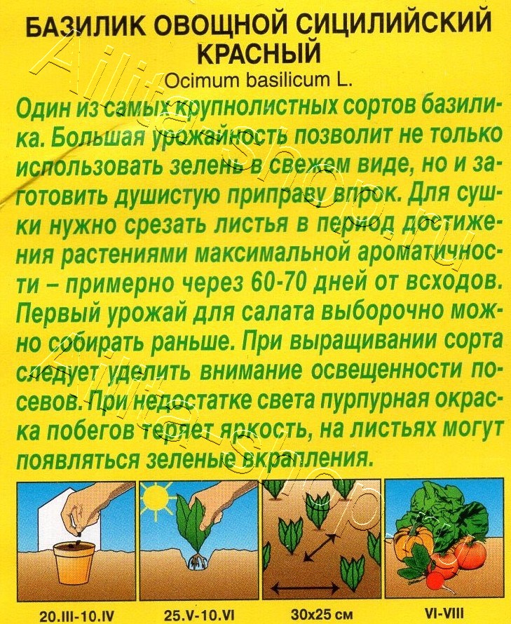 Базилик овощной Сицилийский красный 0,1г