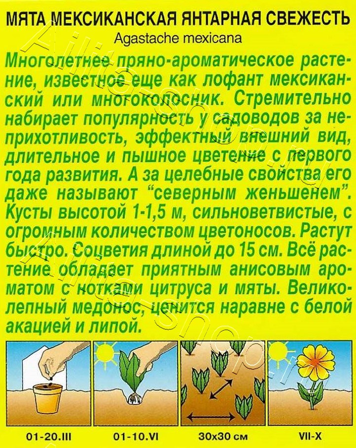 Мята мексиканская Янтарная свежесть 0,05г