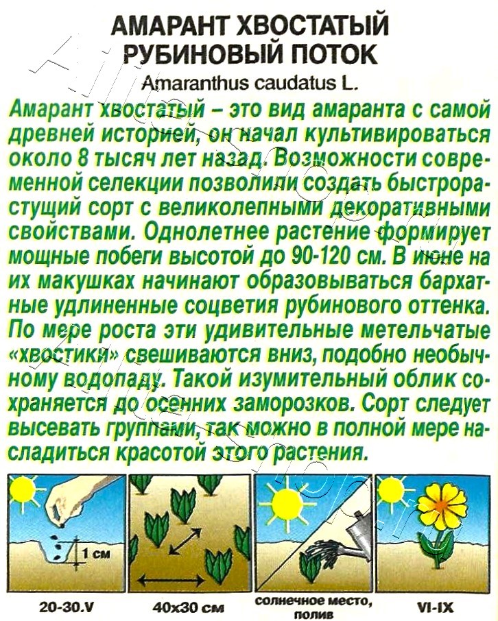 Амарант Рубиновый поток 0,1г