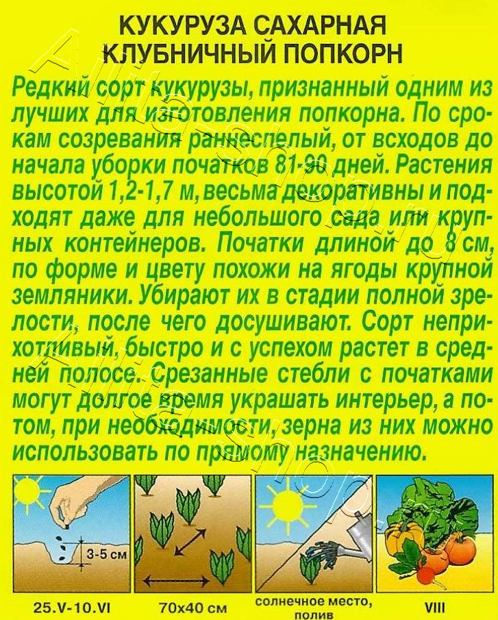 Кукуруза сахарная Клубничный попкорн 5шт