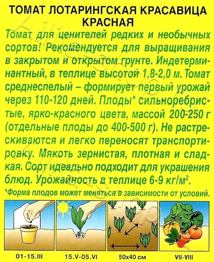 Томат Лотарингская красавица красная 10шт