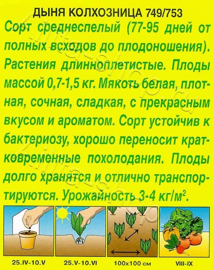 Дыня Колхозница 749/753 1г