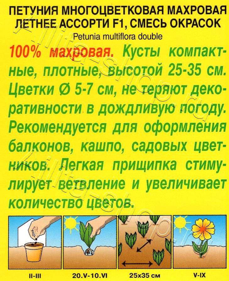 Петуния Летнее ассорти F1 многоцветковая махровая, смесь окрасок 10шт