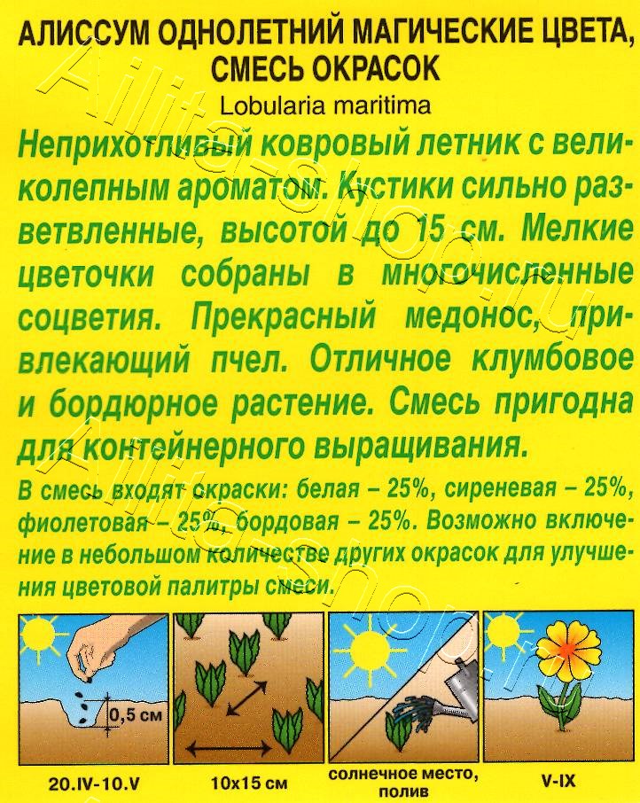 Алиссум Магические цвета, смесь сортов 0,03г