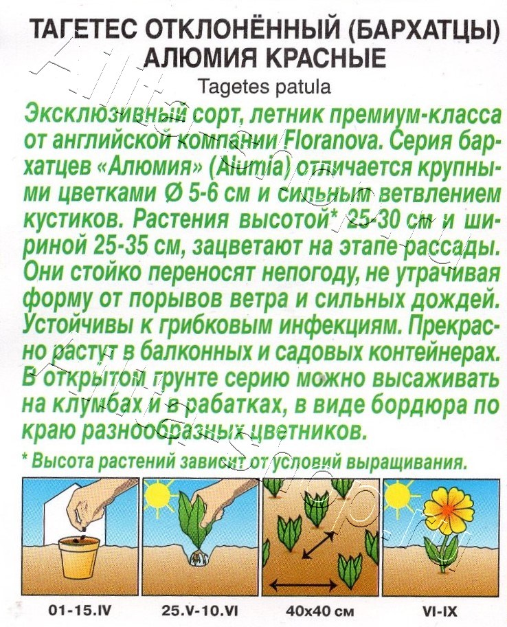 Бархатцы Алюмия красные 7шт