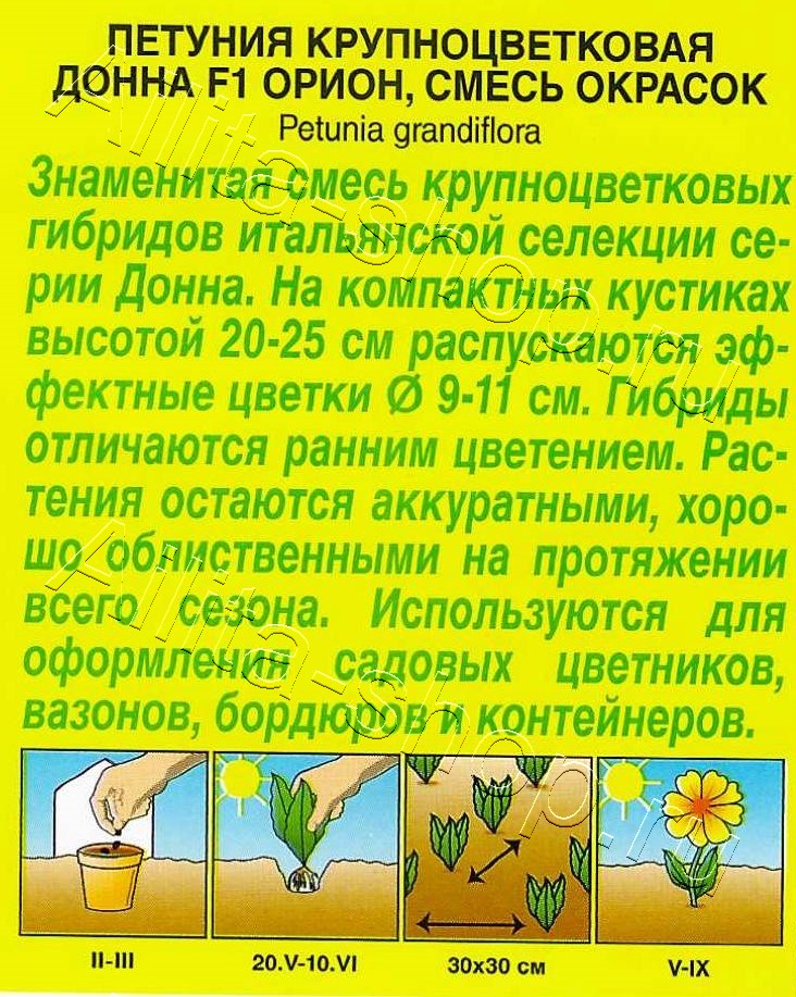 Петуния Донна Орион F1 крупноцветковая, смесь сортов 7шт
