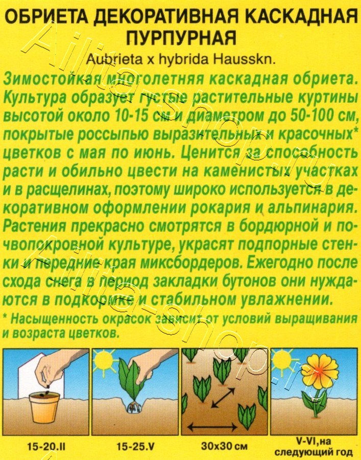 Обриета Декоративная каскадная пурпурная 0,05г