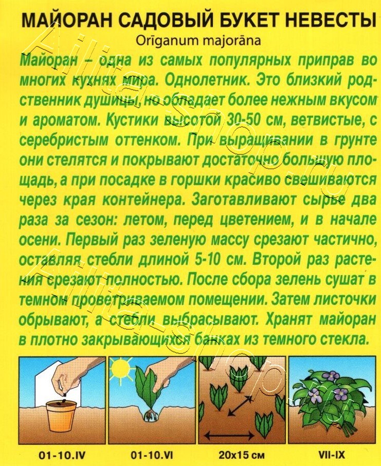 Майоран садовый Букет невесты 0,05г