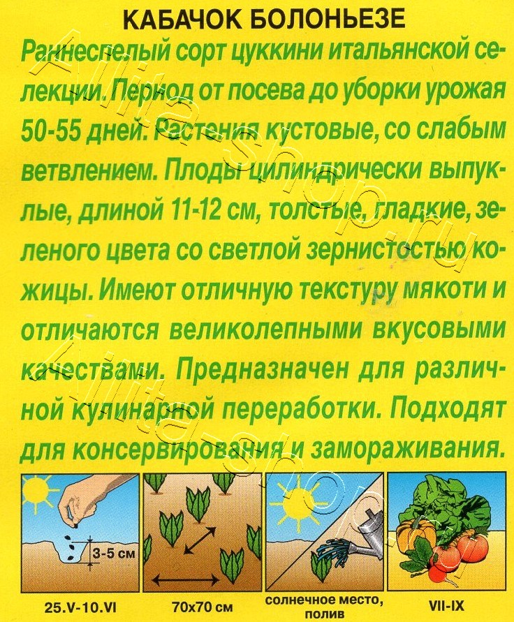 Кабачок цуккини Болоньезе 1г