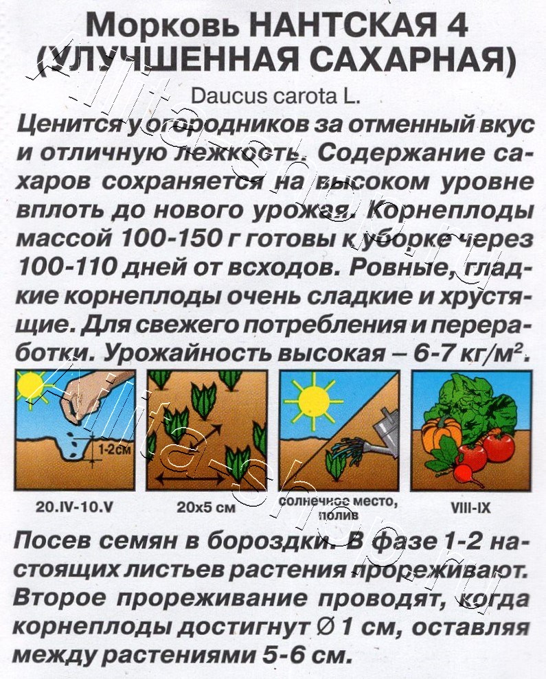 Морковь Нантская 4 (улучшенная сахарная) 2г
