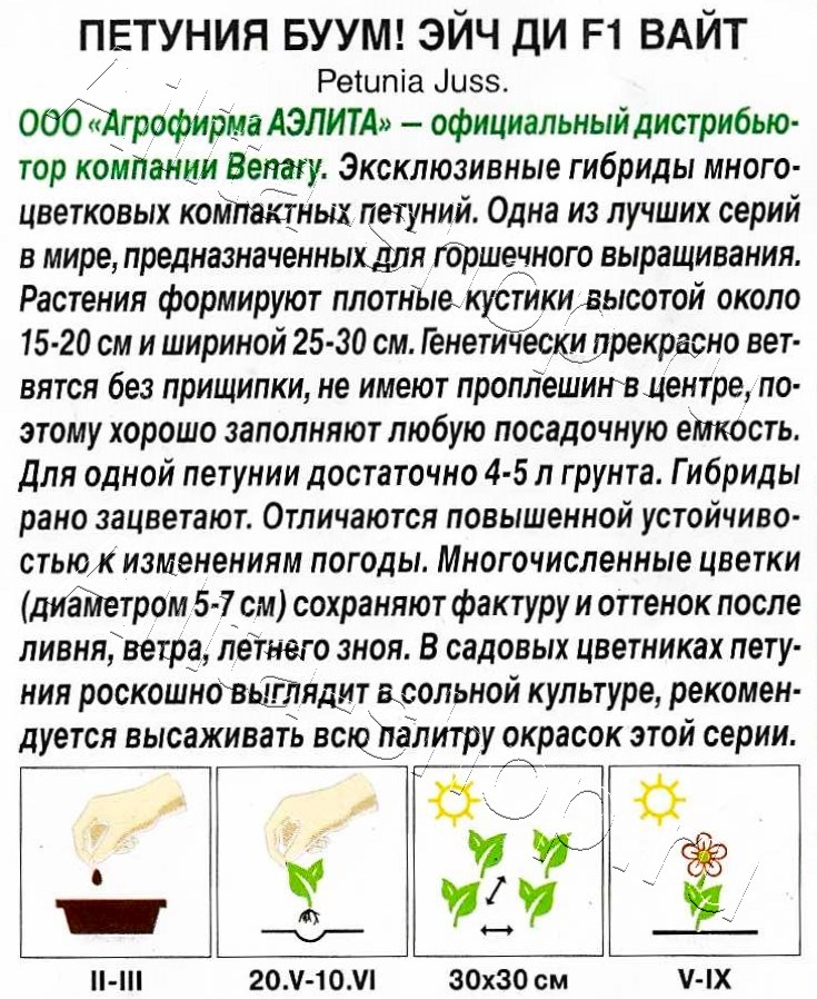 Петуния БУУМ! Эйч Ди F1 Вайт многоцветковая 7шт