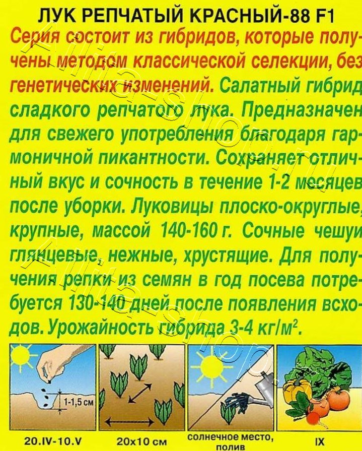 Лук репчатый Красный-88 F1 0,5г