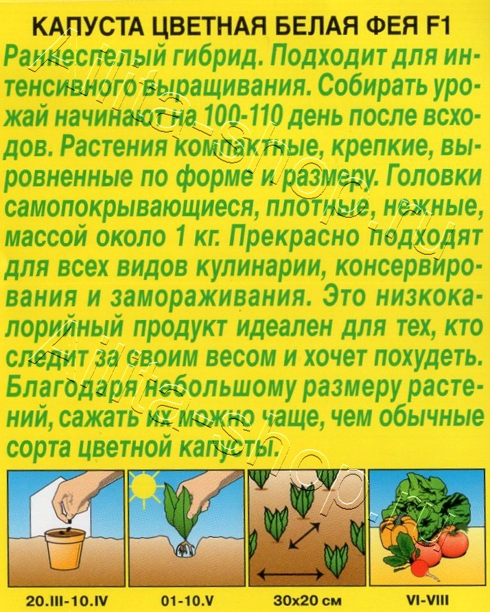 Капуста цветная Белая фея F1 10шт